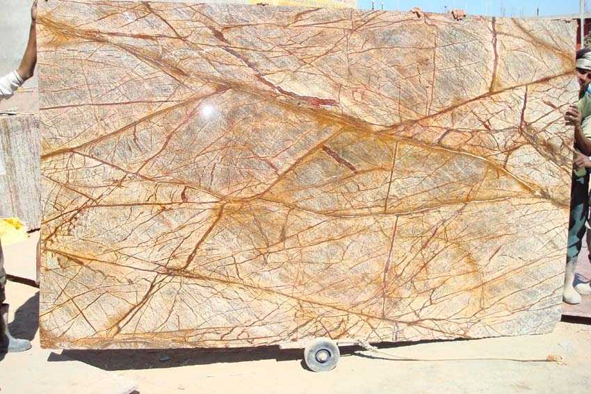 bidaser-brown